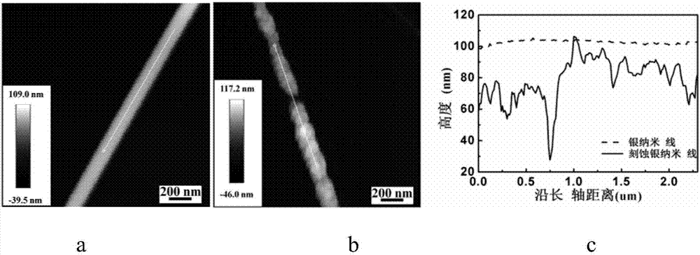 Surface-enhanced Raman scattering substrate, and preparation method and application of surface-enhanced Raman scattering substrate