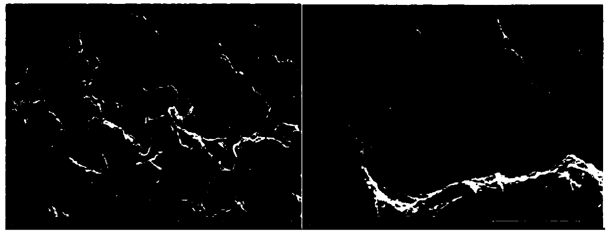 A kind of gemini structure supramolecular gel factor and its preparation method