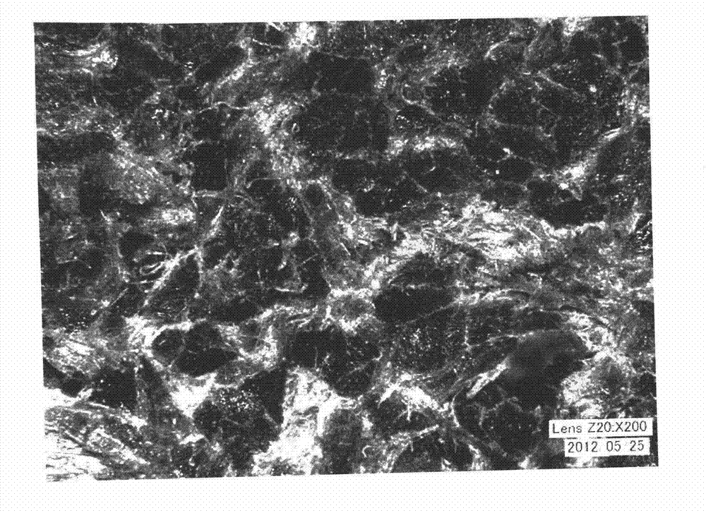 Simple identification method for leather fiber structure