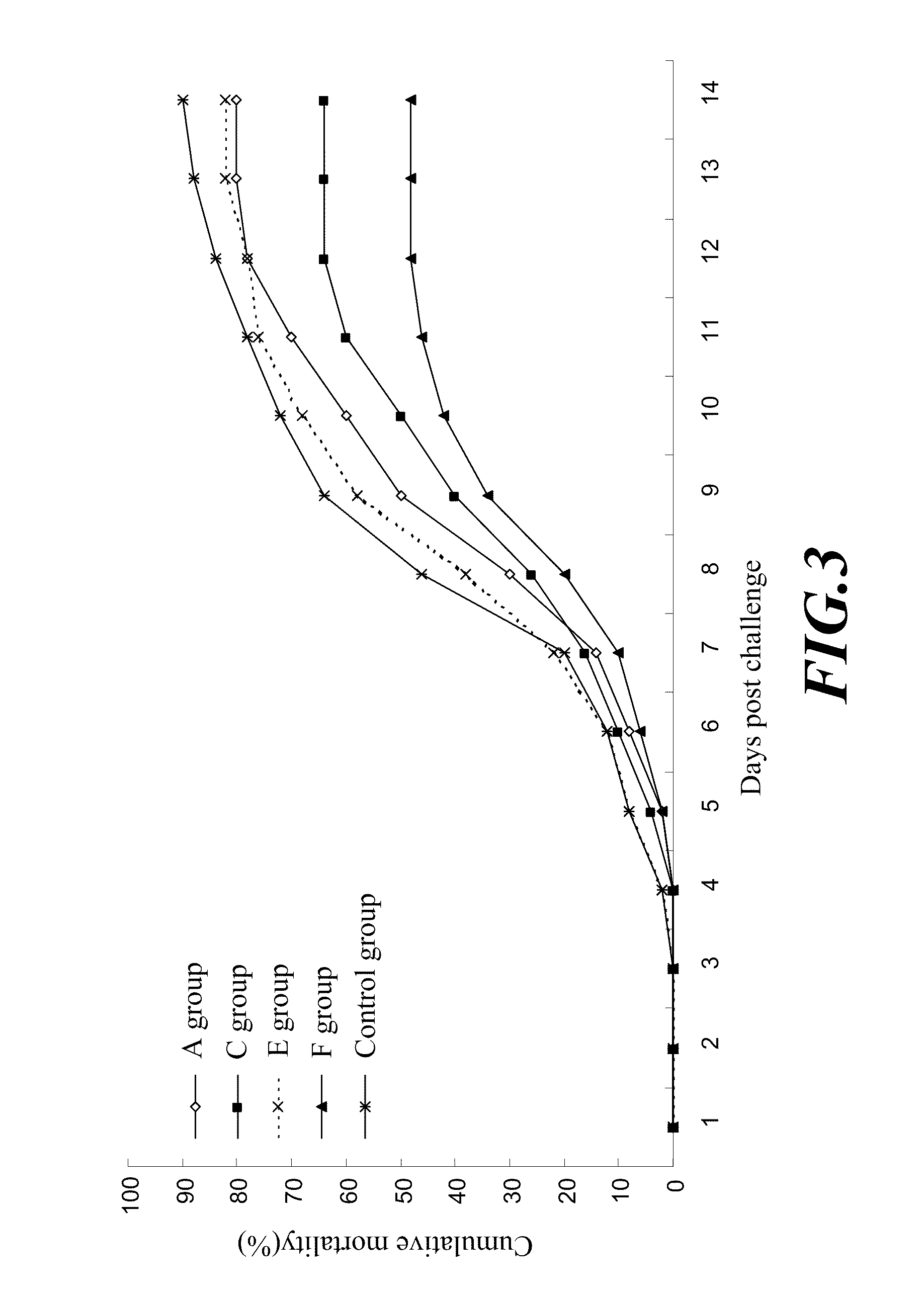 <i>Edwardsiella ictaluri </i>E-ict-VL33 strain, vaccines thereof, and a method for protecting fishes using said vaccines