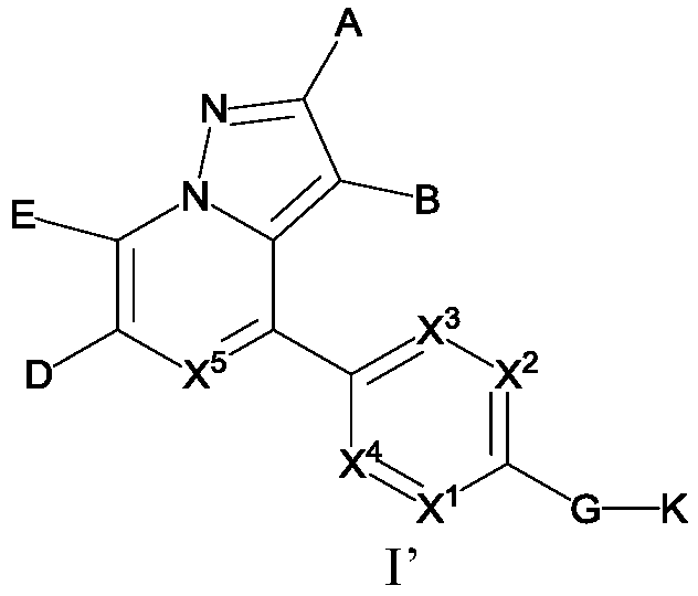 Substituted pyrazole fused ring derivative as well as preparation method and application thereof