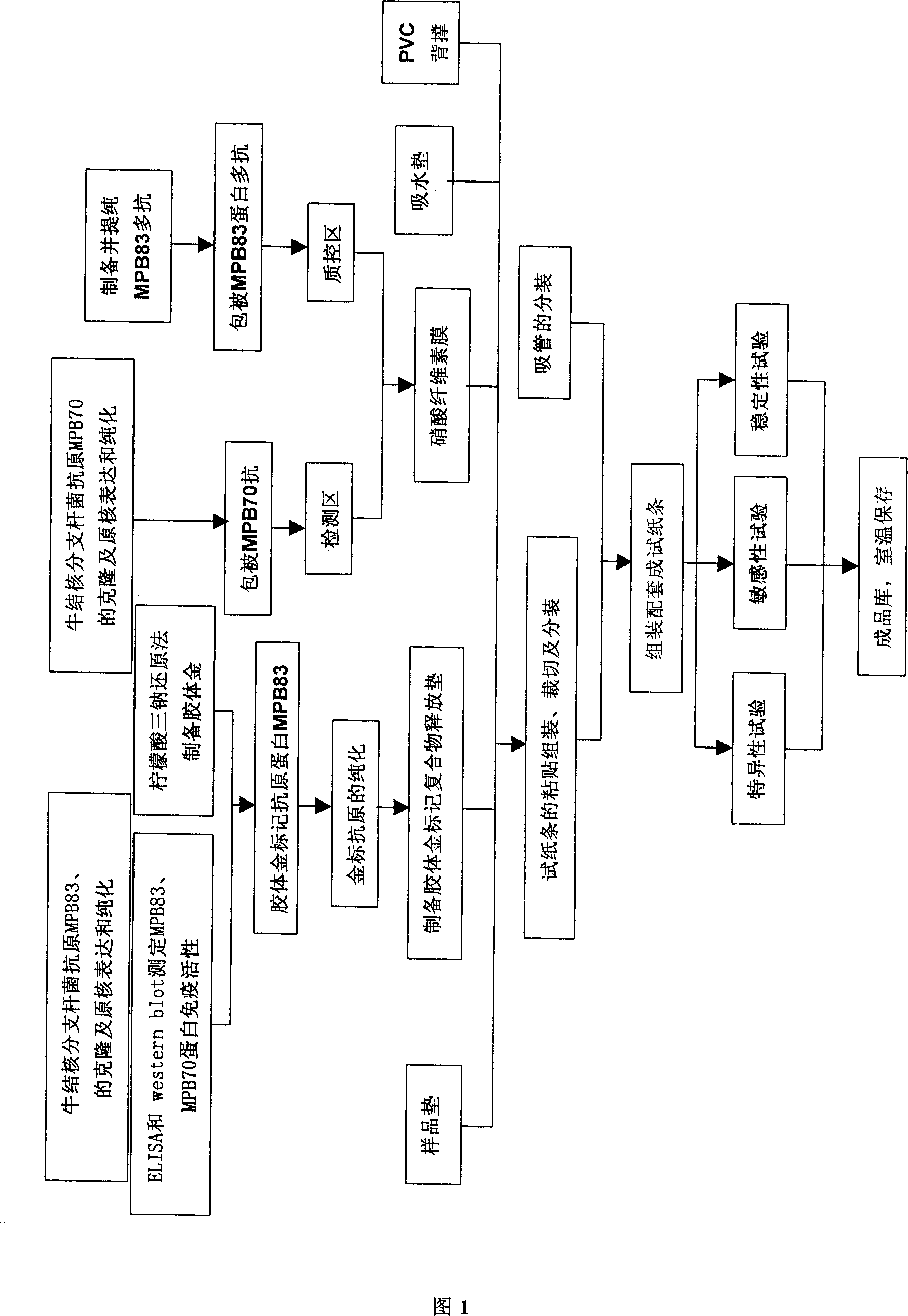 Immune colloidal gold test paper strip for detecting bovine tuberculosis antibody and its preparation method