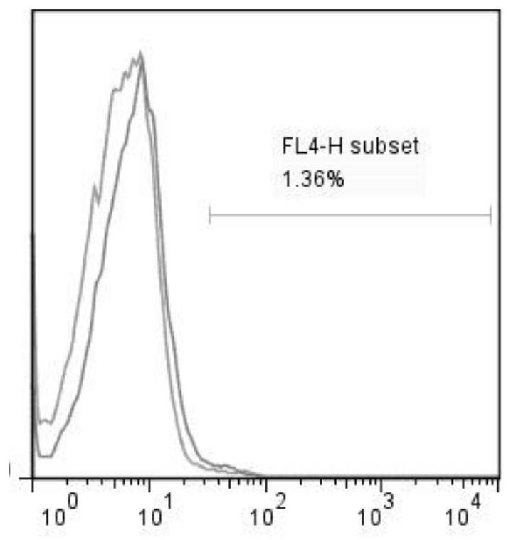 A kind of preparation method of trophoblast of limited generation and culture method of snk cell