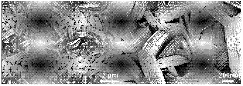 Method for preparing zinc oxide nano sheet array