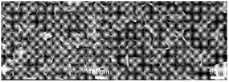 Method for preparing zinc oxide nano sheet array