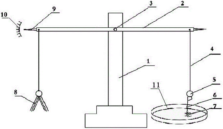 A Simple Device and Measurement Method for Measuring the Adhesive Force of Tiny Insects and Liquid