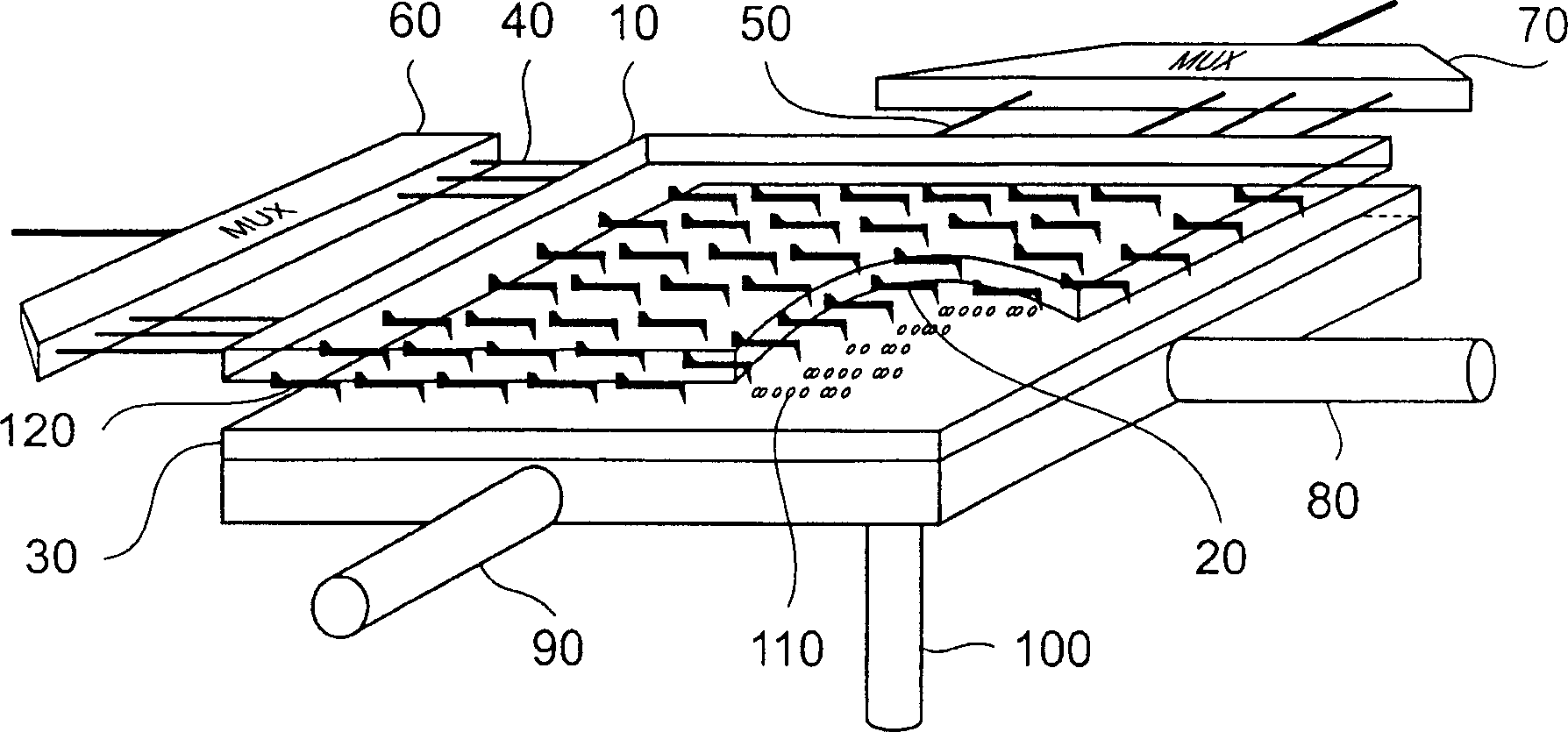 Probe memory device and method for detecting data in probe memory device