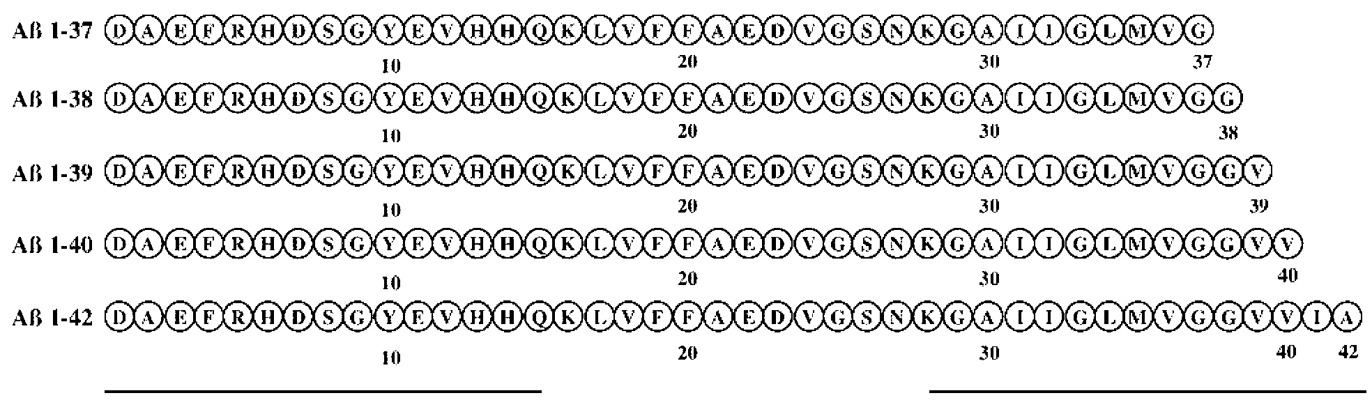 Polymeric complements to [beta]-amyloid peptides