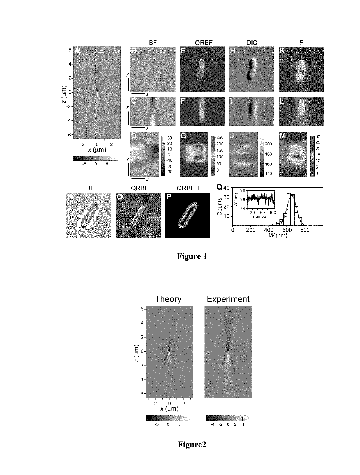 Automated quantitative restoration of bright field microscopy images