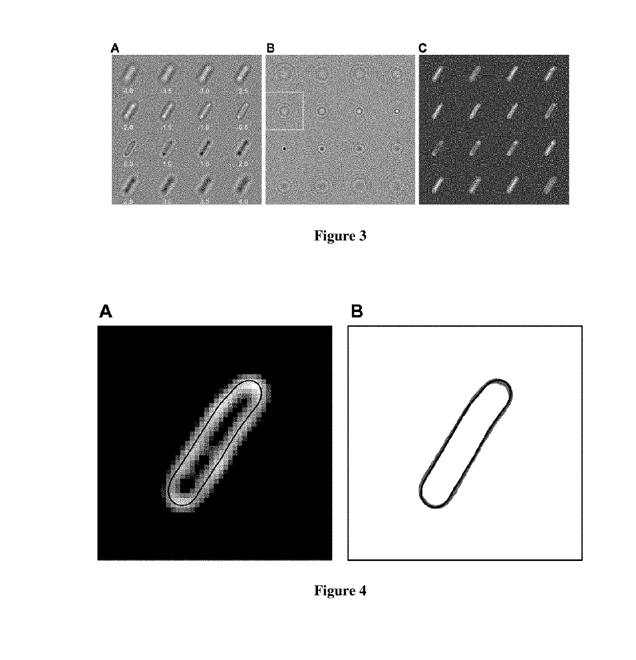 Automated quantitative restoration of bright field microscopy images