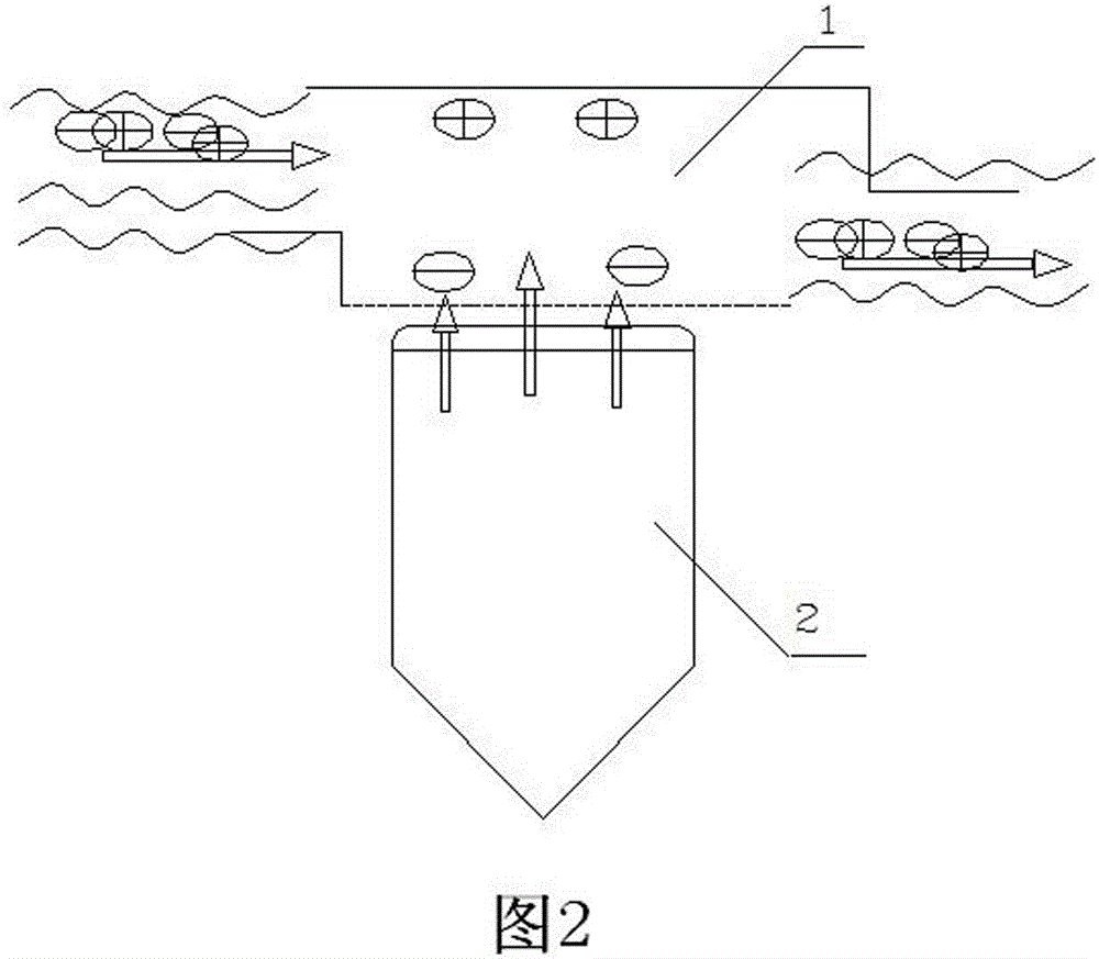 Ionization device of self-cleaning two-dimensional flow type structure used for gas detection