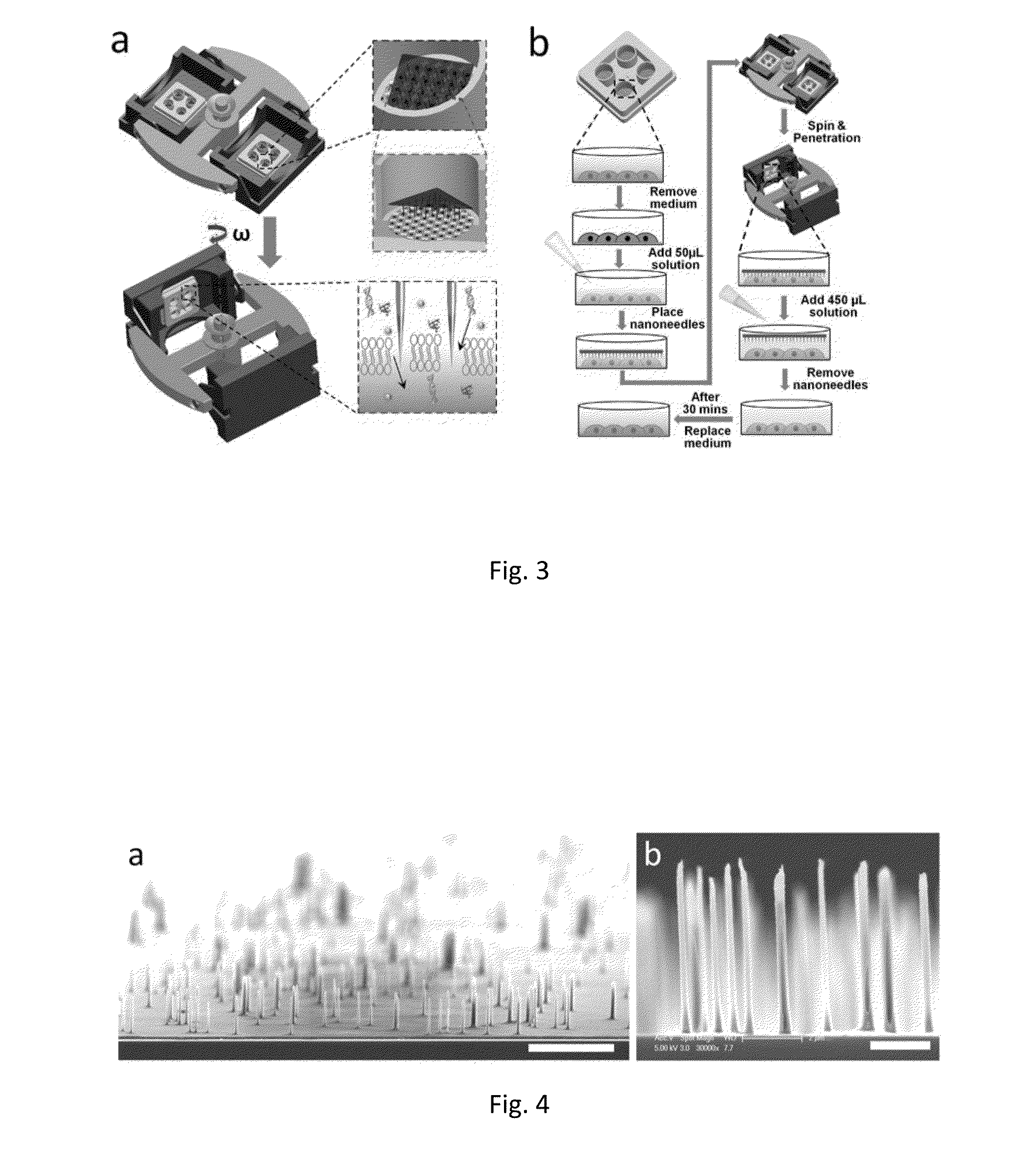 Method and apparatus for delivery of molecules to cells