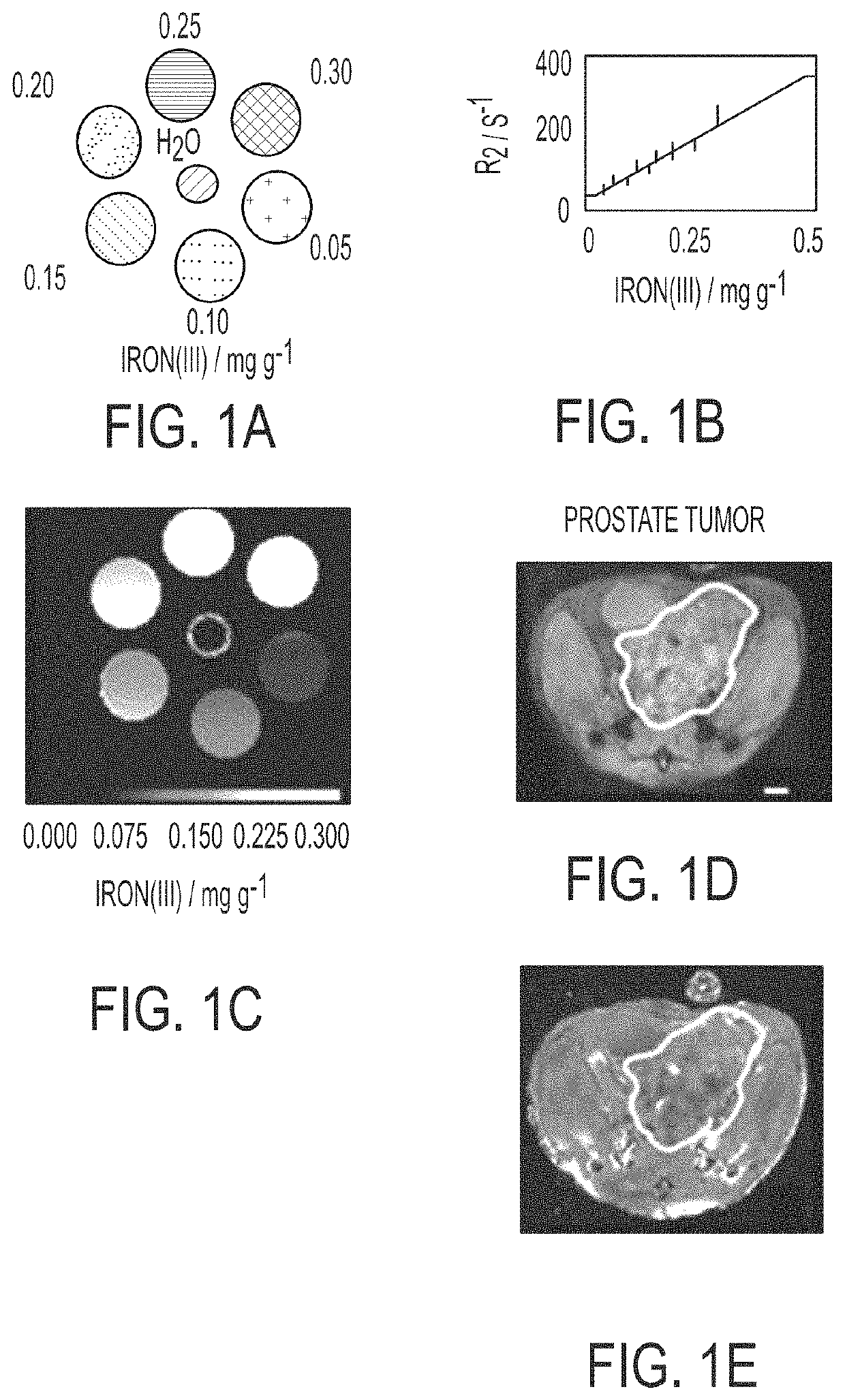 Innate metabolic imaging of cellular systems