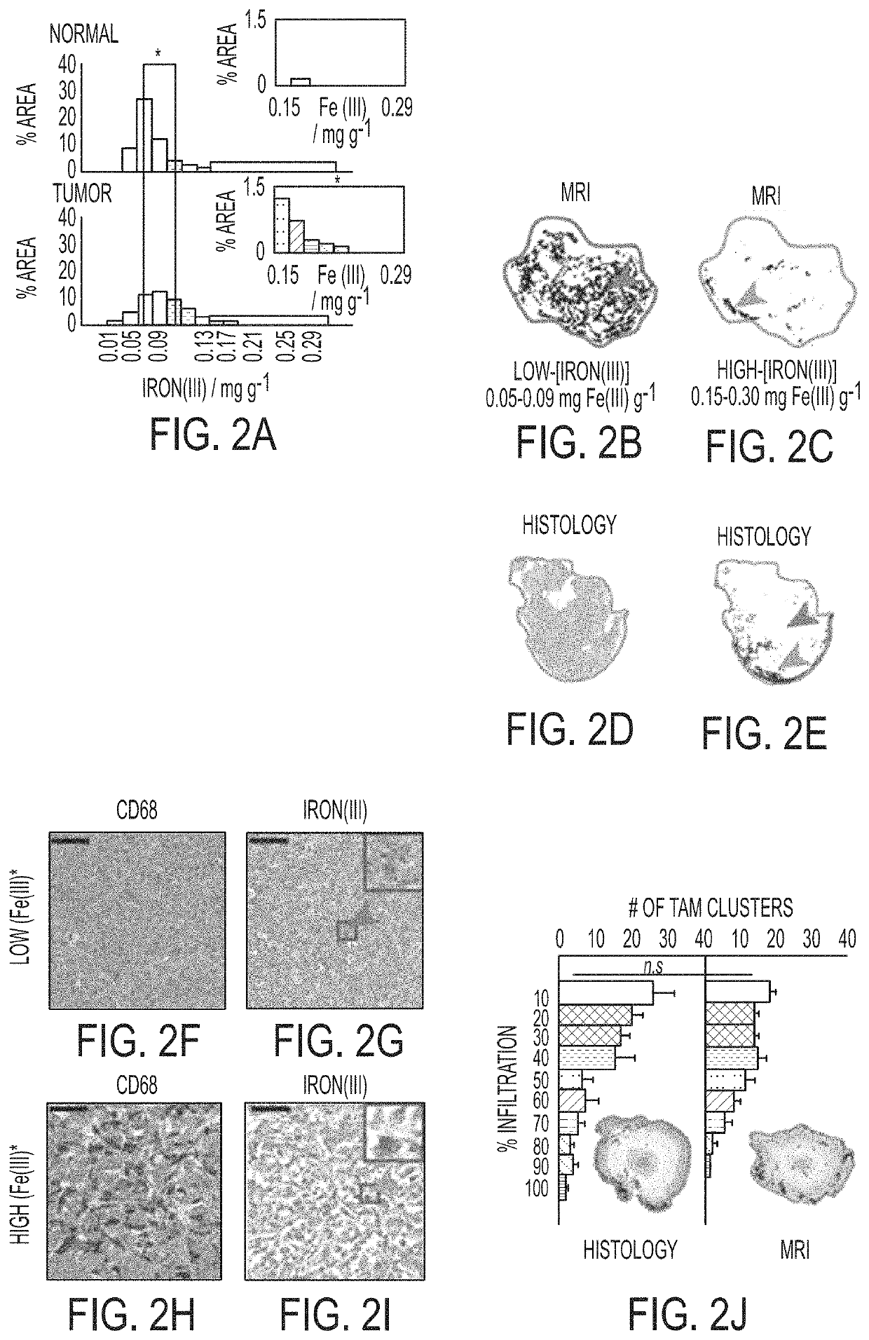 Innate metabolic imaging of cellular systems