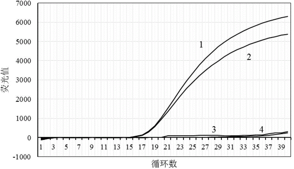 Detection reagent and method for identifying porcine pseudorabies virus vaccine strain and wild strain