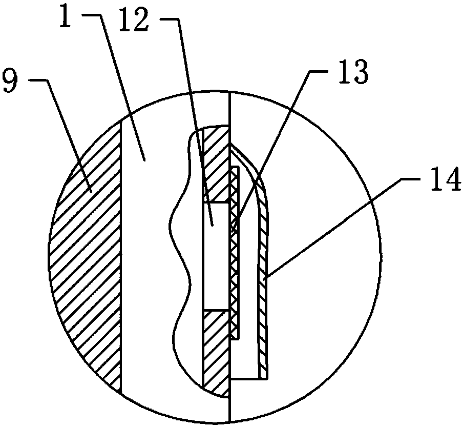 Quick breeding method of zingiber striolatum