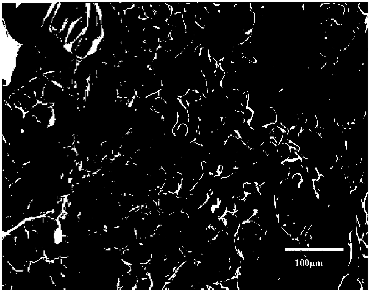 Double-network composite hydrogel, preparation method of double-network composite hydrogel and oil-water separator