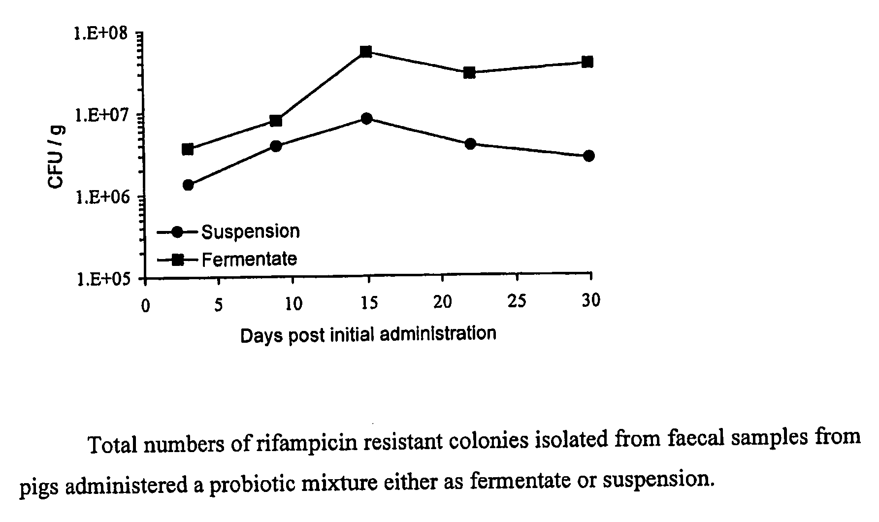 Probiotic composition suitable for animals