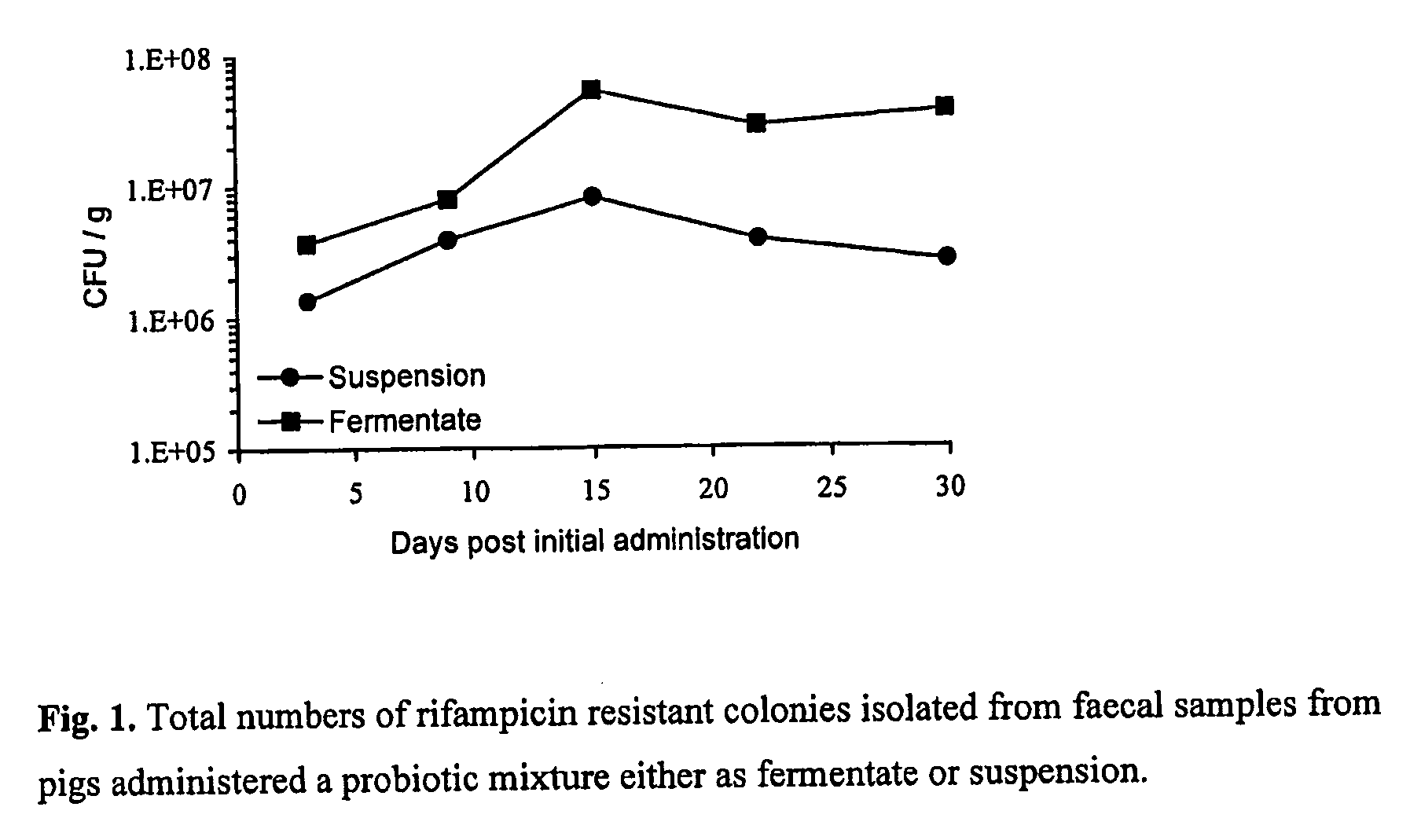 Probiotic composition suitable for animals