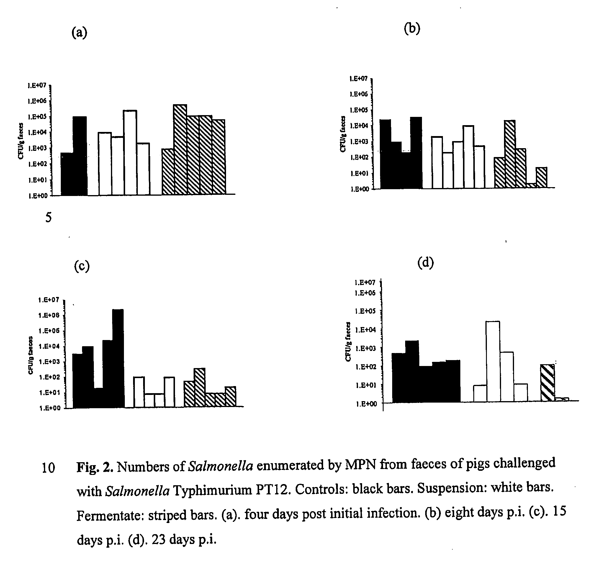 Probiotic composition suitable for animals