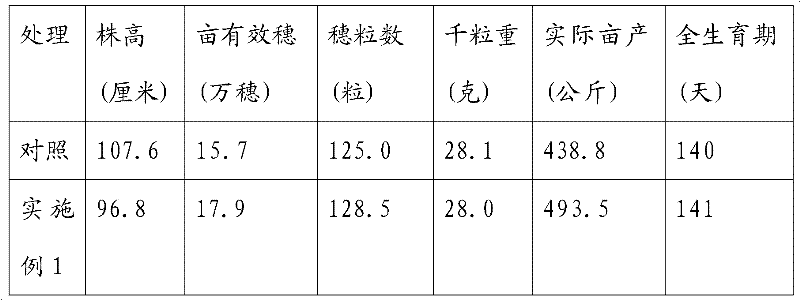 Granular preparation for promoting rice tillering