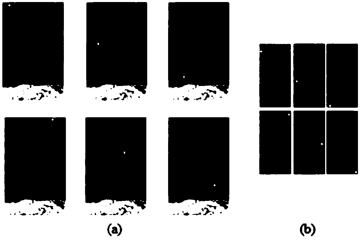 A registration method of passive millimeter wave image and visible light image in human body security inspection