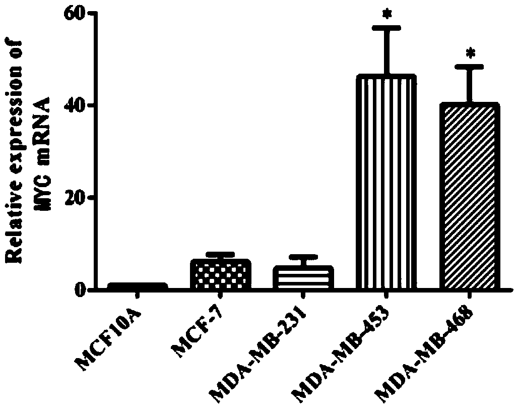 Markers for evaluating risk of familial breast cancer and application thereof