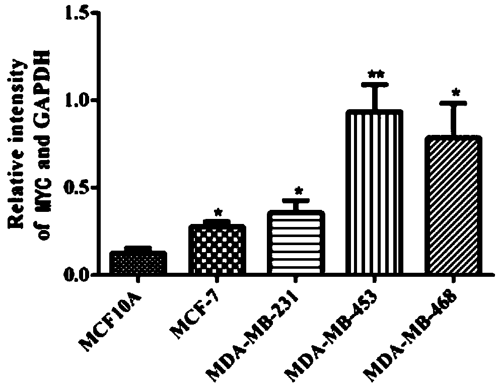 Markers for evaluating risk of familial breast cancer and application thereof