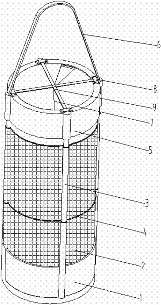 Insect behavior and activity observer