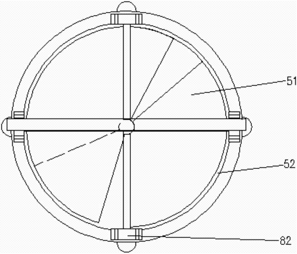 Insect behavior and activity observer