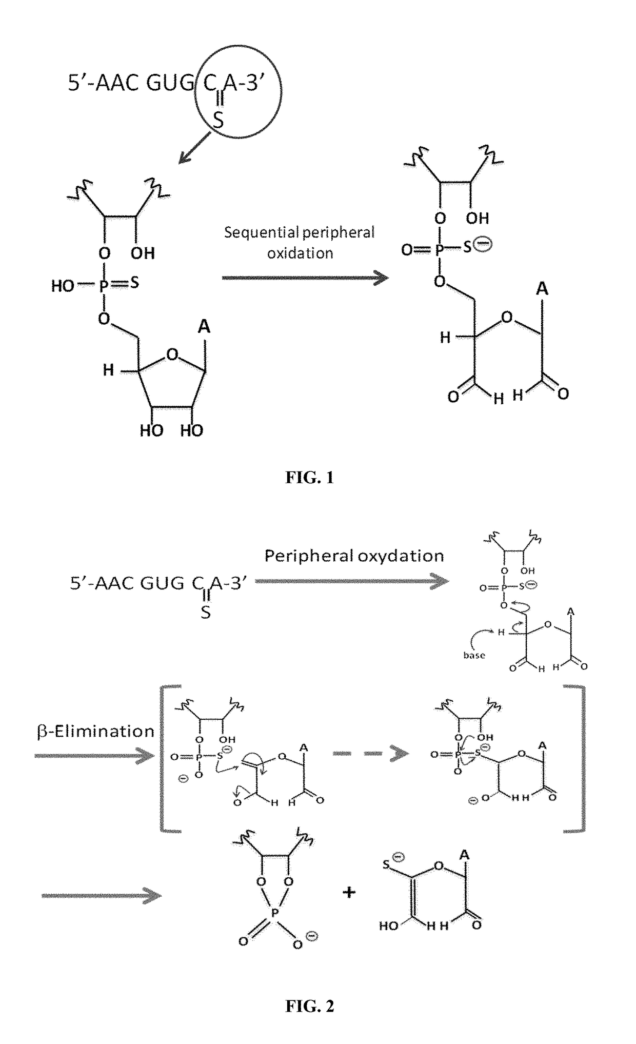 Sterile Formulation Comprising a Stable Phosphorothioate Oligonucleotide