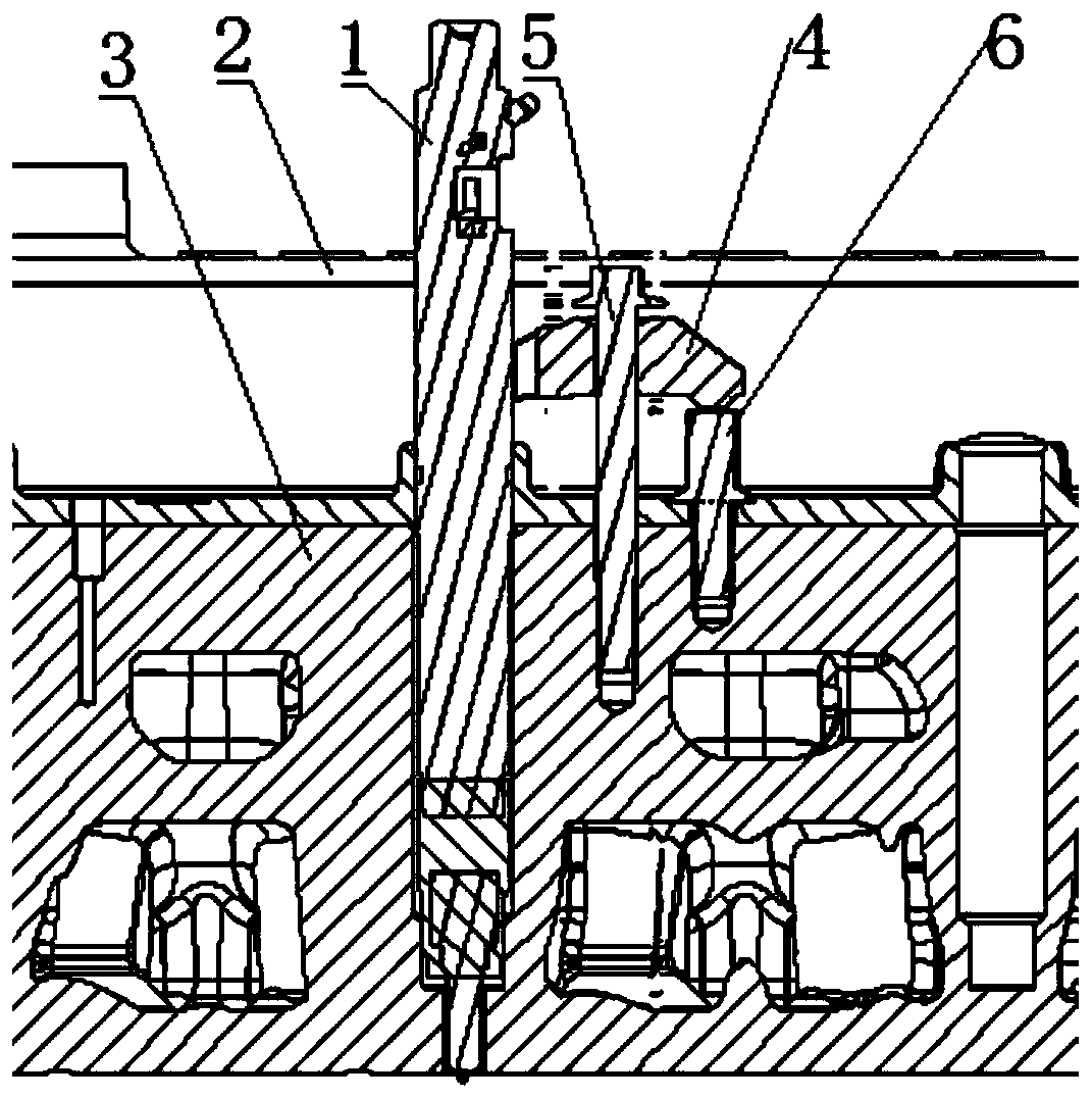 Fuel injector fixing structure