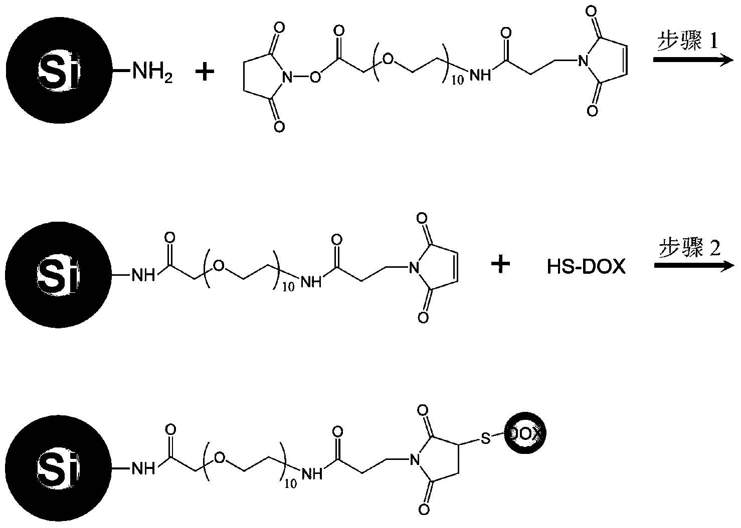 Application of water-soluble silicon quantum dots as drug carriers