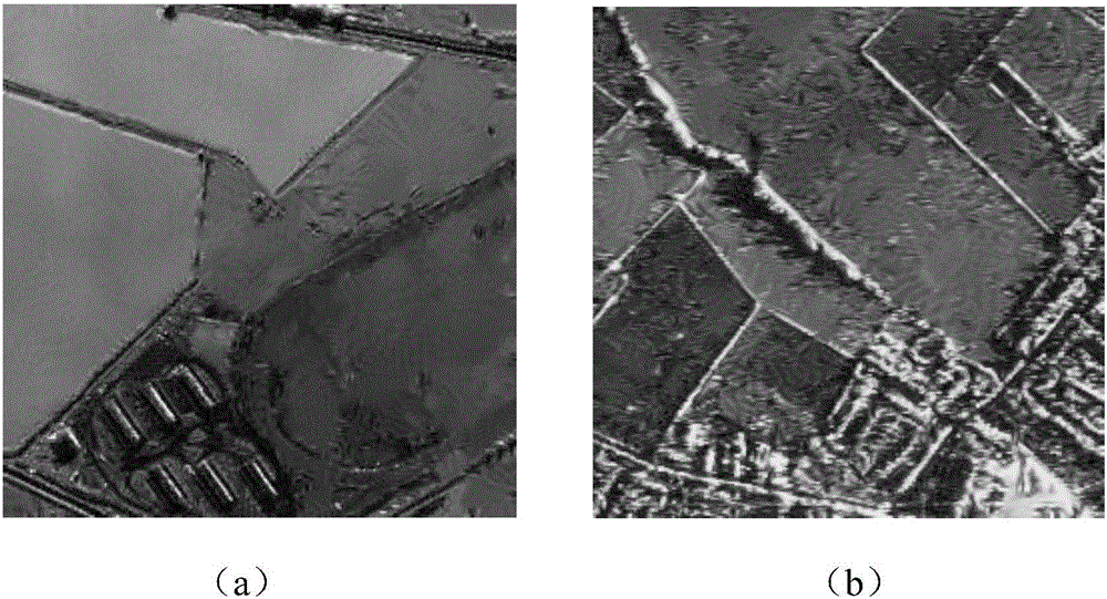 SAR Image Denoising Method Based on Homogeneous Region Segmentation