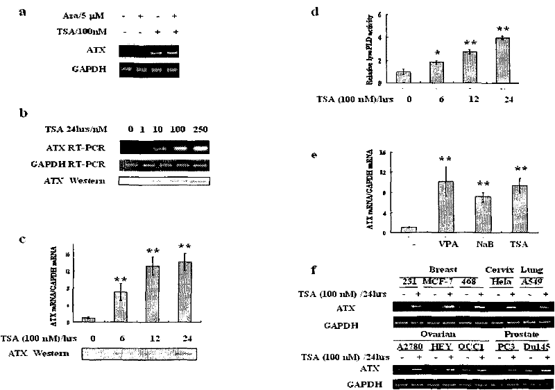 Medicament for treating tumors