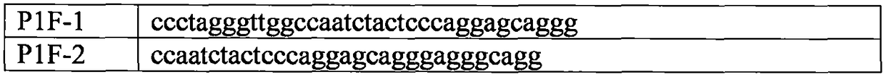 Beta-thalassemia gene amplification kit and method based on recombinase polymerase amplification technology