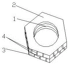 Nut with improved structure