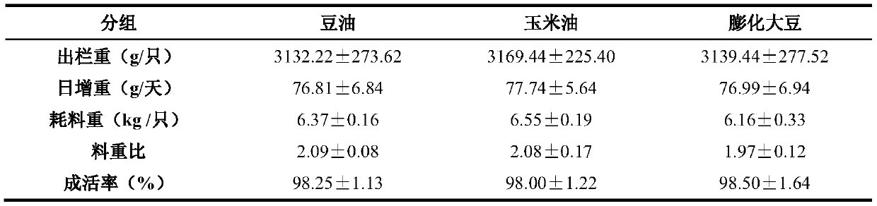 Special filling-free feed for Beijing ducks and preparation method thereof