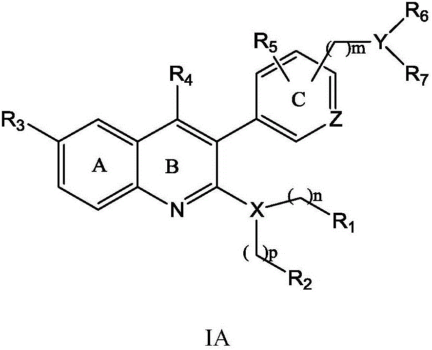 Quinoline derivative, preparation method and application thereof