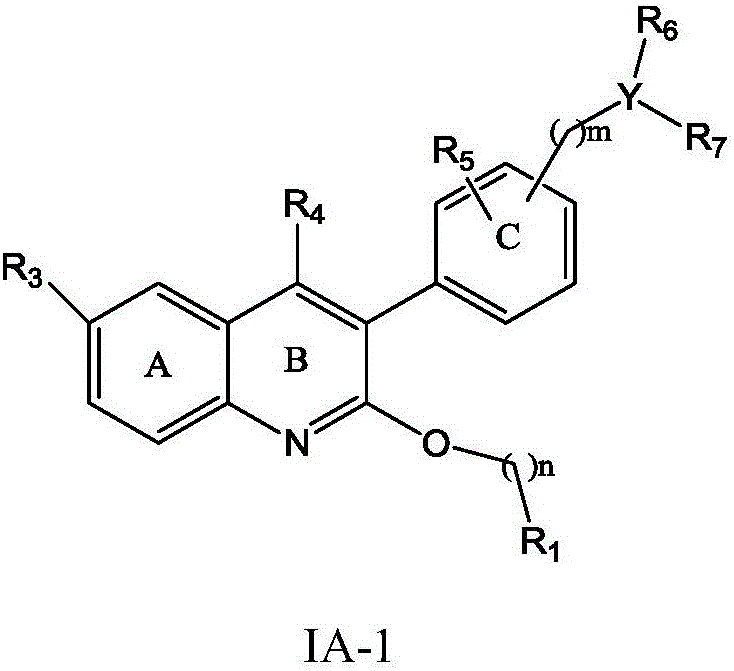 Quinoline derivative, preparation method and application thereof