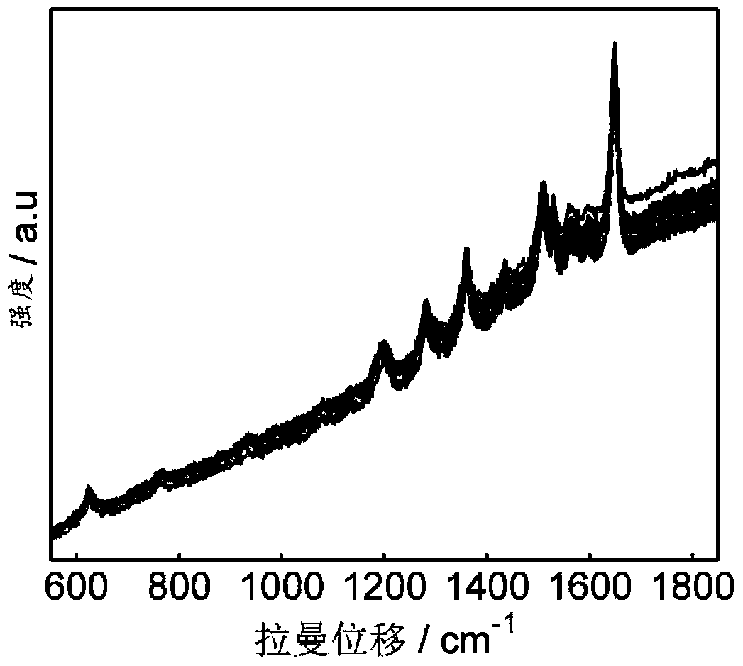 Raman base