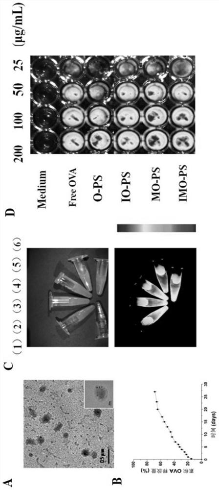 DCS vaccine based on co-encapsulated antigen and dual immune agonist phospholipid hybrid polymer vesicles and its preparation method and application