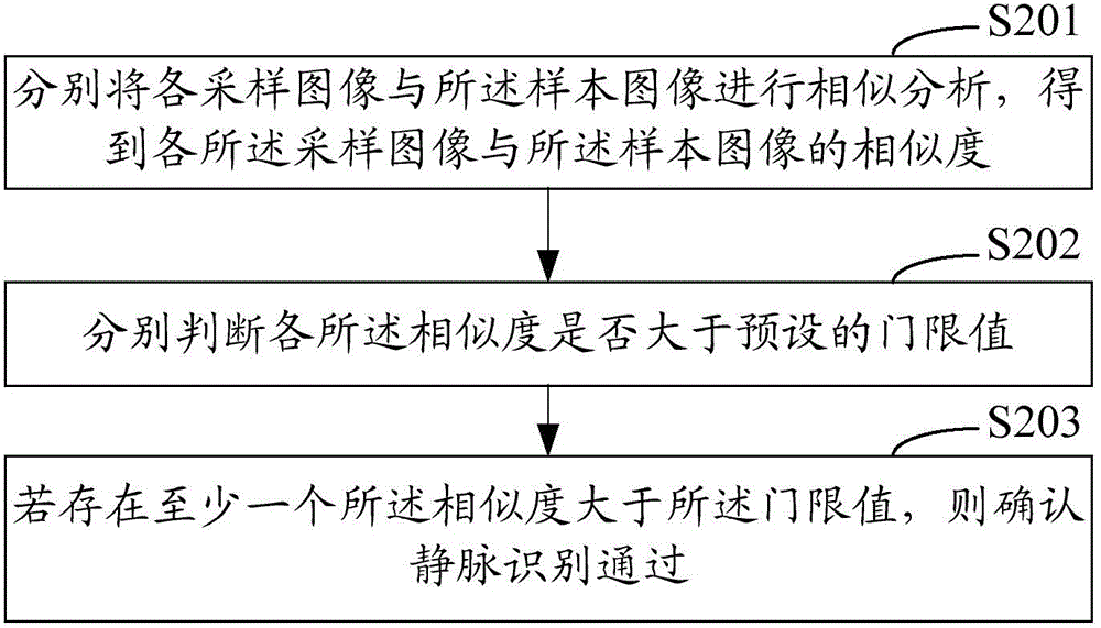 Finger vein identification method, apparatus and vein authentication terminal device