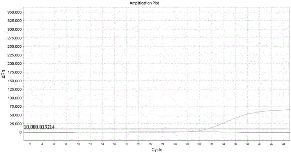 Human EGFR gene mutation detection kit and application thereof