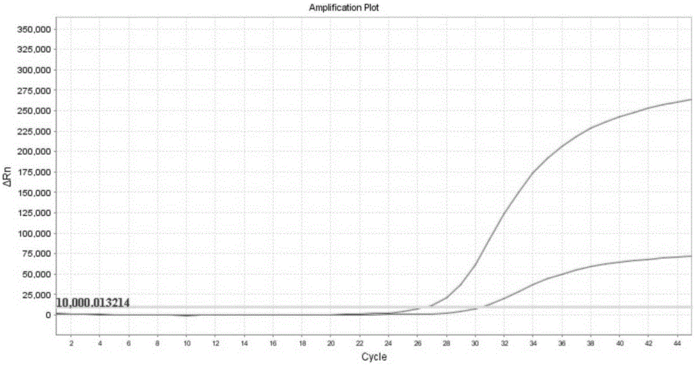 Human EGFR gene mutation detection kit and application thereof