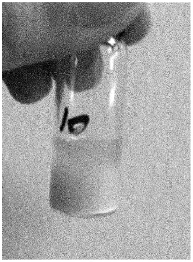 Bilirubin derivative-based diagnostic and therapeutic ultrasound contrast agent