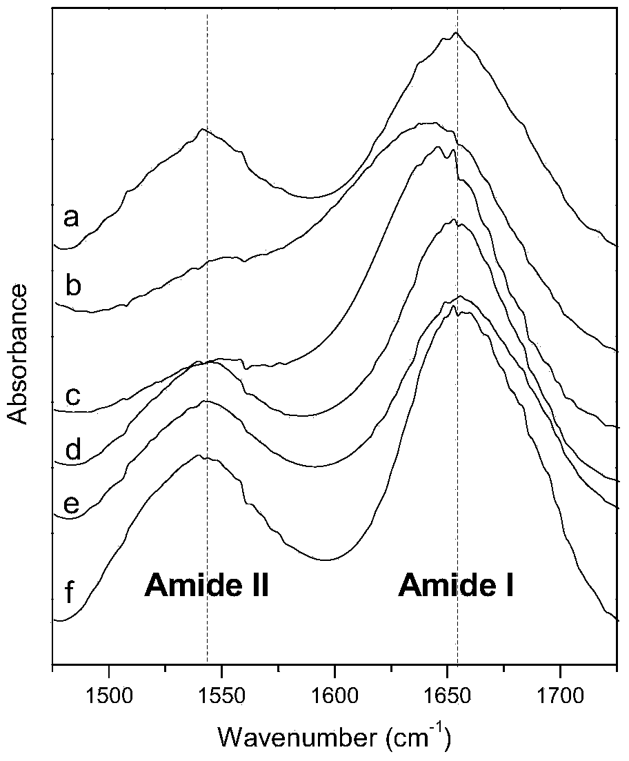 Functionalized ionic liquid-hydrotalcite-like composite material fixed protein modified electrode as well as preparation method and application thereof