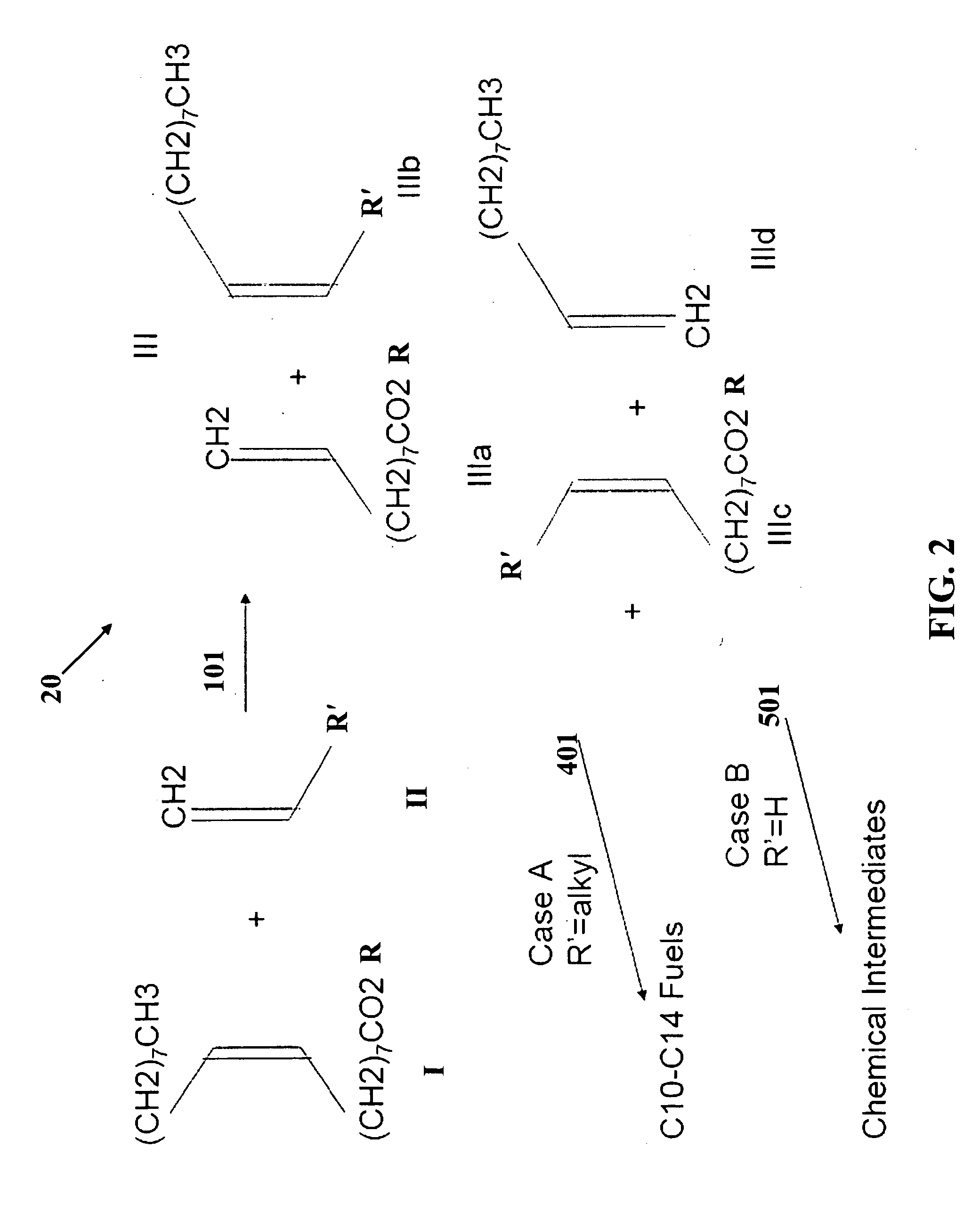 Chain-selective synthesis of fuel components and chemical feedstocks