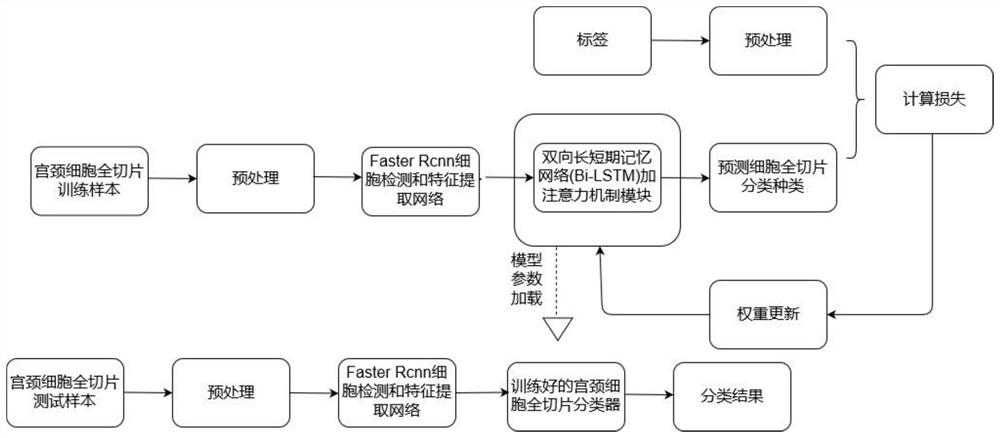 Cervical cell full slice classification method based on context modeling