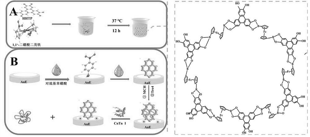 Preparation method of ferrocene-based covalent organic framework modified electrode and method for electrochemical detection of troponin